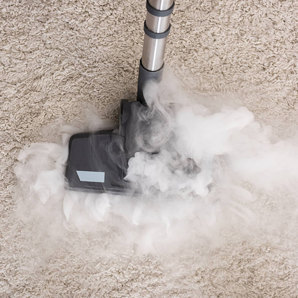 deep carpet cleaning experts